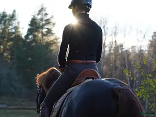 stallplats Lösdrift eller uppstallning i Färentuna - Annons 13