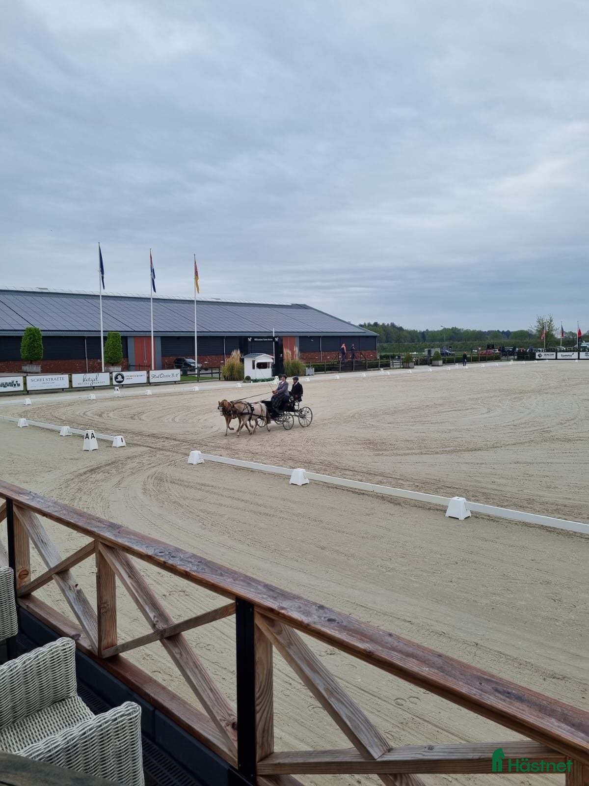  hästar Välmeriterad körponny i Vittsjö - Annons 21