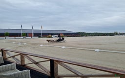 Körning hästar till salu: Välmeriterad körponny i Vittsjö - Bild 1