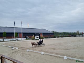 hästar Välmeriterad körponny i Vittsjö - Annons 12