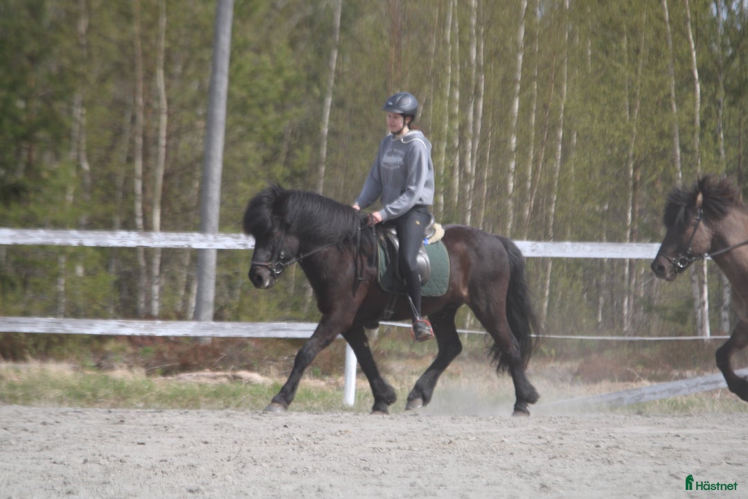 Galleribild {{count}}