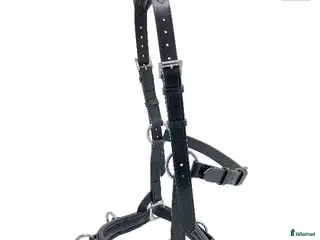 Träns hästutrustning Hrimnir kapson Atlas med fast järn 1500 kr - Annons 7