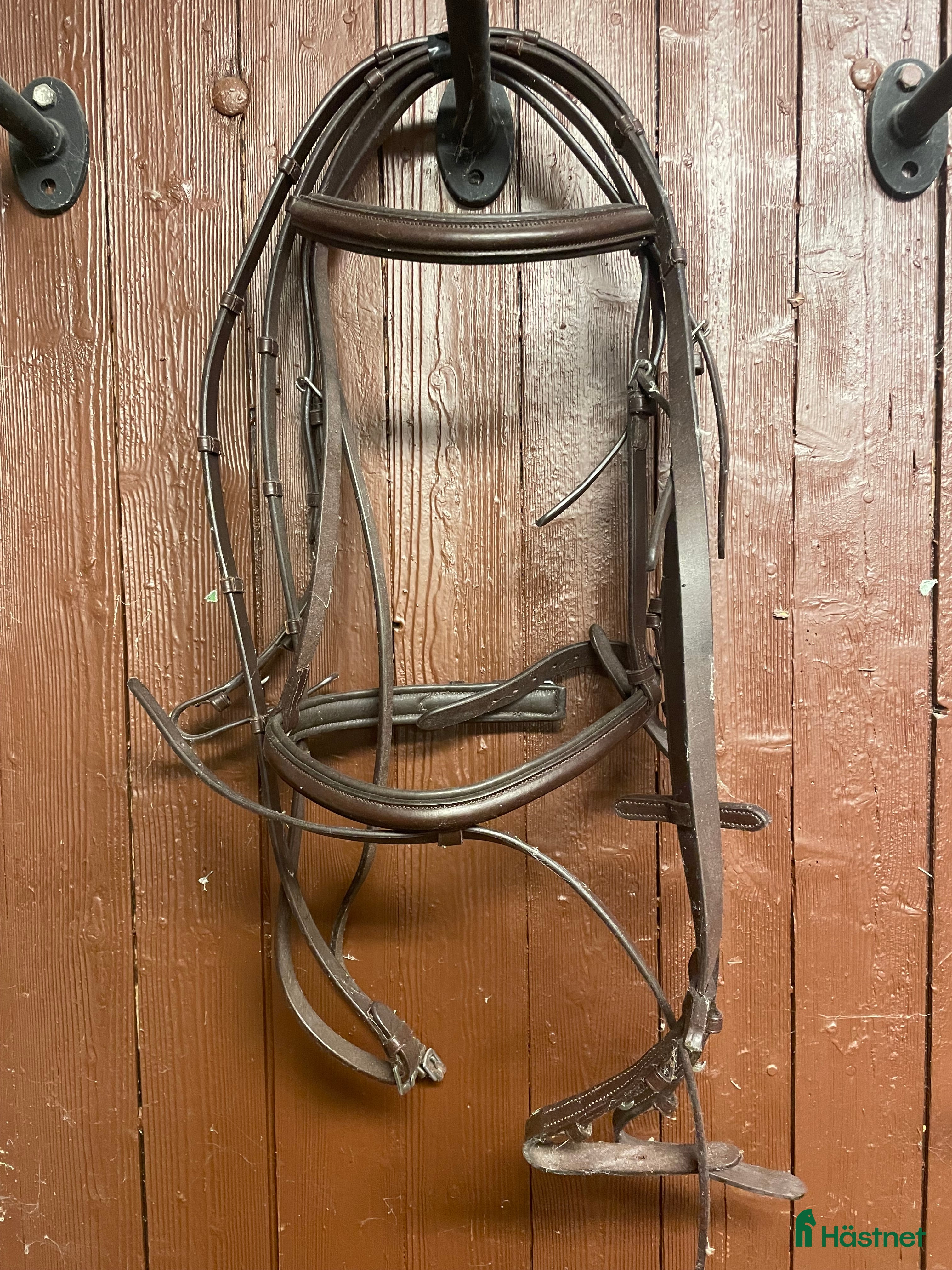 Träns hästutrustning till salu: Nya träns, olika modeller och storlekar  i Vallberga - Annons 1