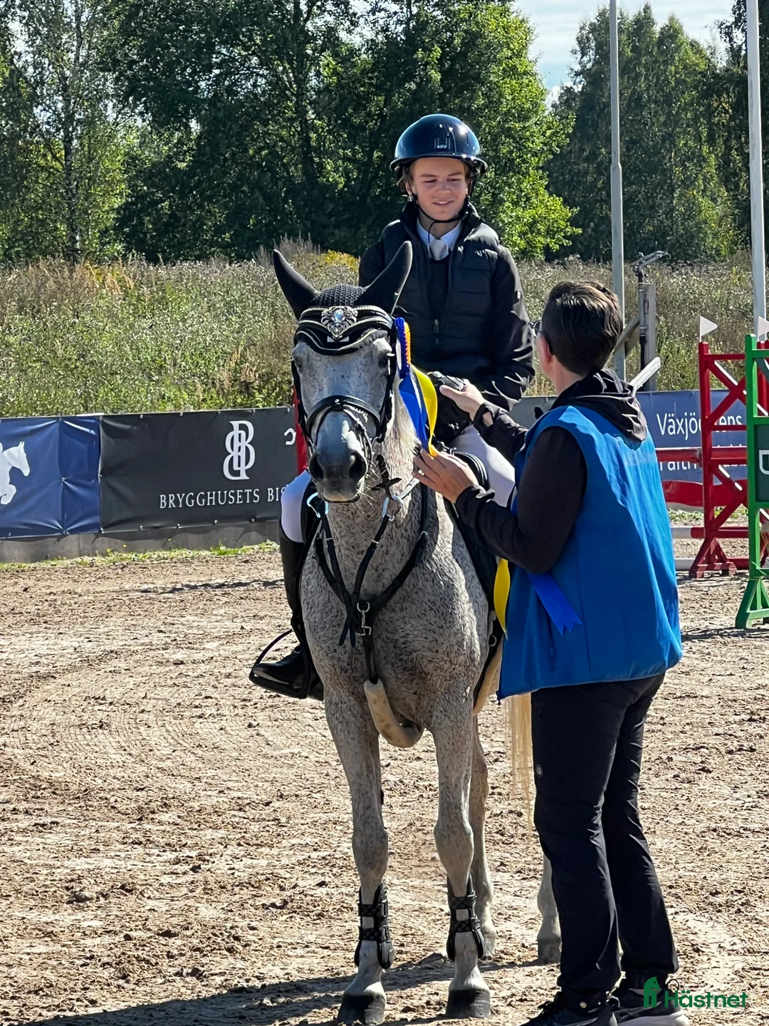 Hoppning hästar till salu: Balla Bella söker ny kompis! - Annons 1