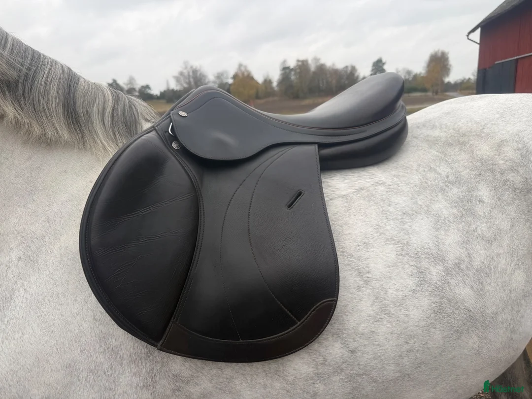Sadlar hästutrustning till salu: Equipe Expression  - Annons 1