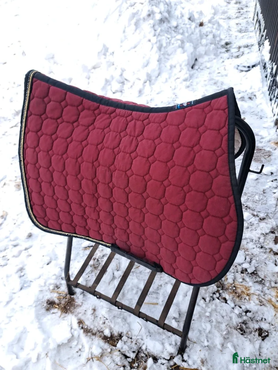 Schabrak & Vojlockar hästutrustning till salu: E-logga med glittersvart/guld passpoal + swarovski - Annons 4