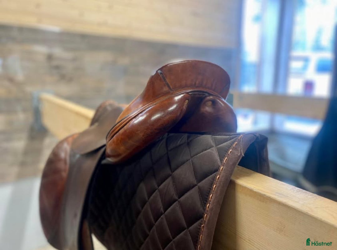 Sadlar hästutrustning till salu: Bruno Delgrange sadel säljes  i Gävle - Annons 4