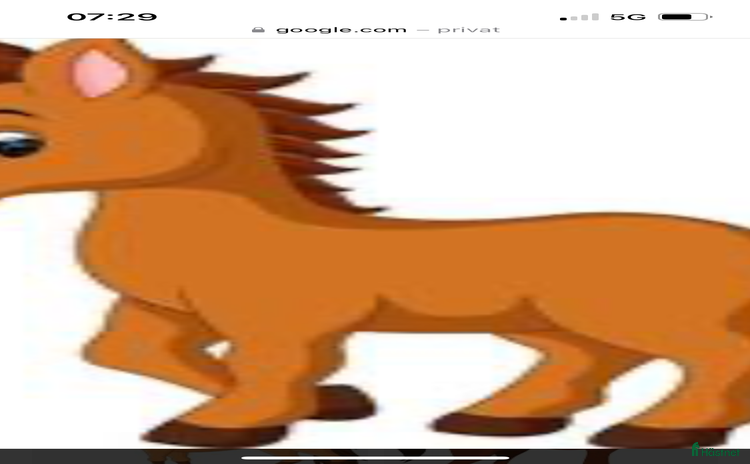  stallplats i Degeberga - Annons 11