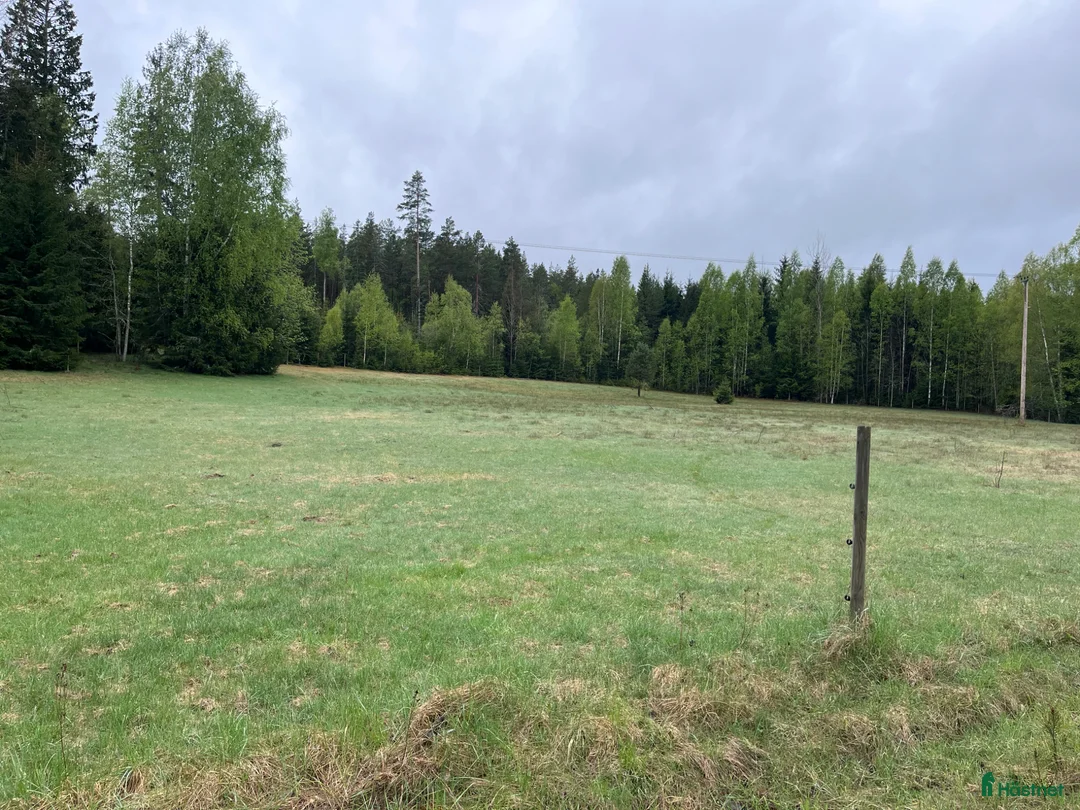  stallplats finnes: Sommarbete sydnärke i Pålsboda - Annons 2