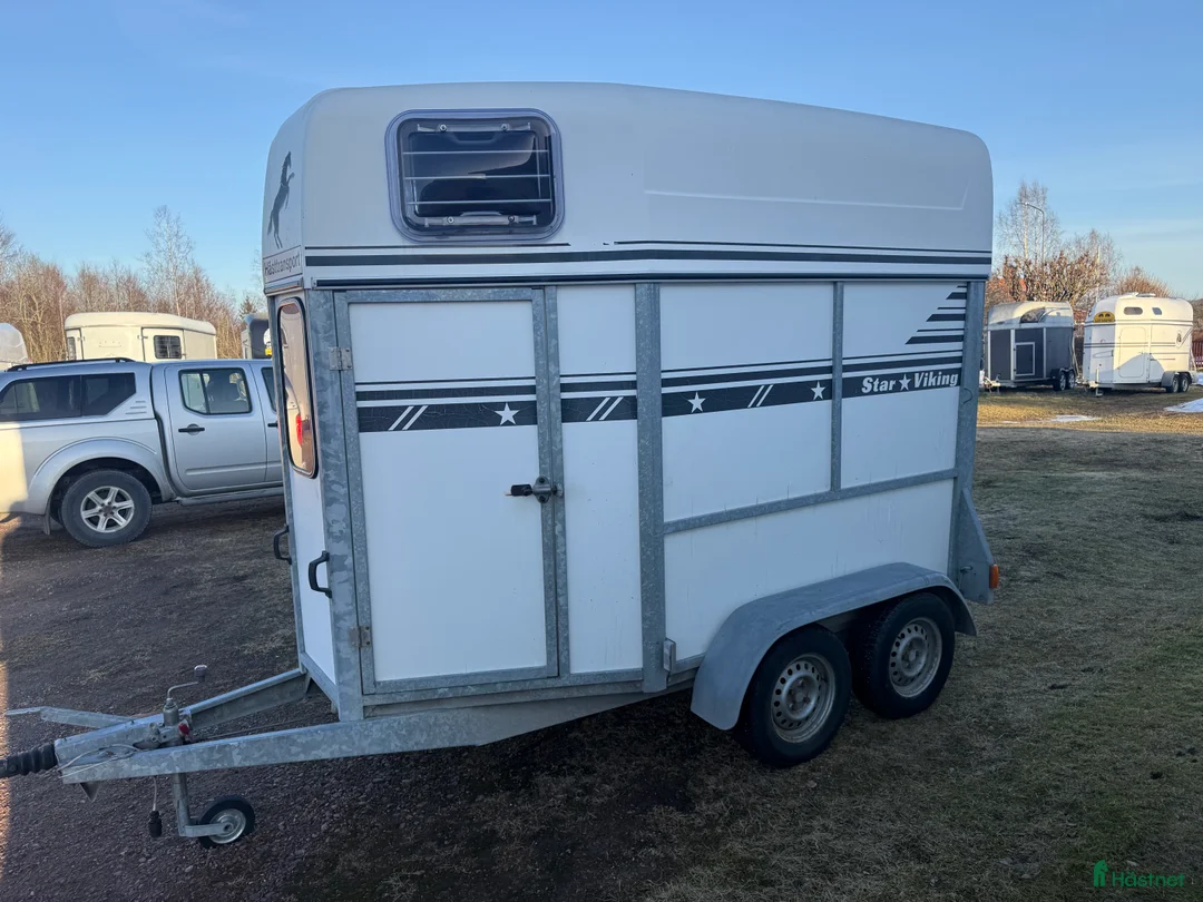 Hästtransporter  fordon & transport till salu: Star Viking -04 - Annons 2
