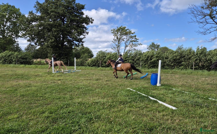  medryttarhäst sökes i Uppsala - Annons 12