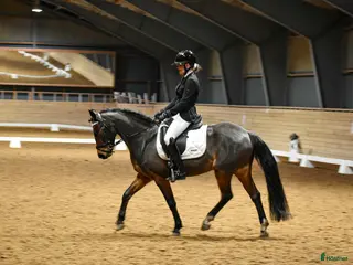 hästar Älskad C-ponny med kvalitet och personlighet 🌟 - Annons 9