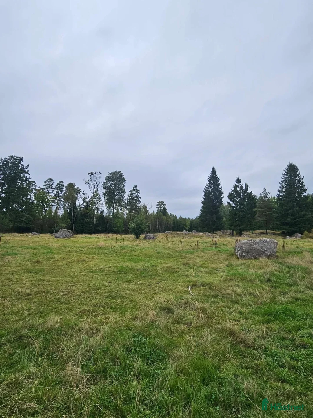  stallplats finnes: Stallplats i Simlångsdalen - Annons 4