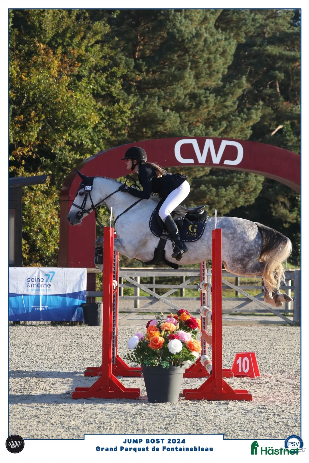 Hoppning hästar till salu: 148 Big Tracks ponies at Gateau Stables France - Annons 5