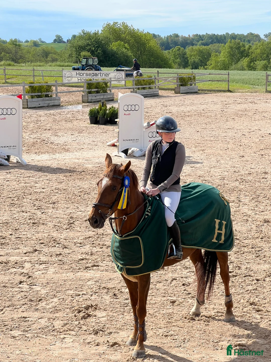 Allround hästar till salu: Läromästare - Annons 1