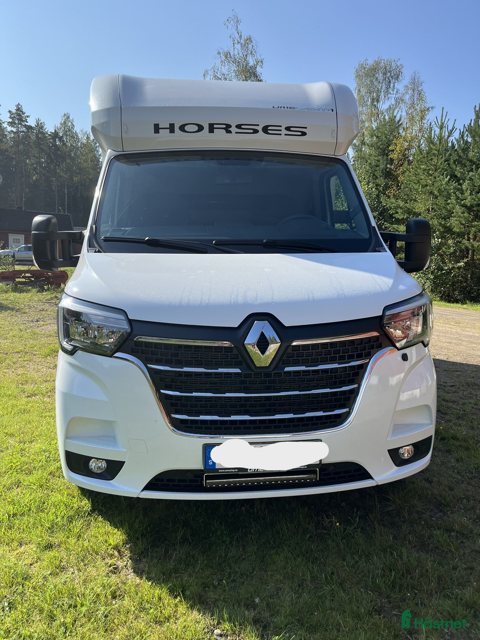 Hästlastbilar  fordon & transport till salu: UME LIGHT 1 - 2021  - Annons 2