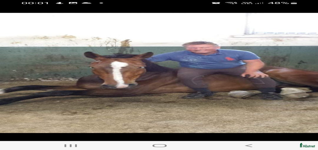 Galleribild {{count}}