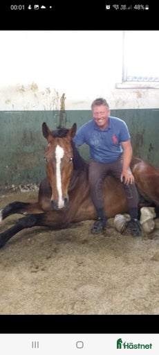 Galleribild {{count}}