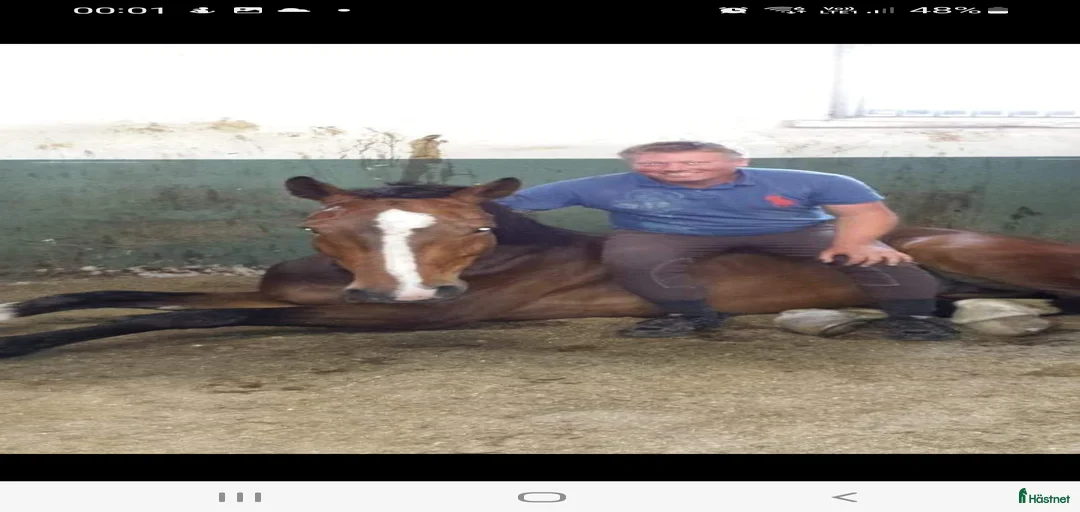 Galleribild {{count}}