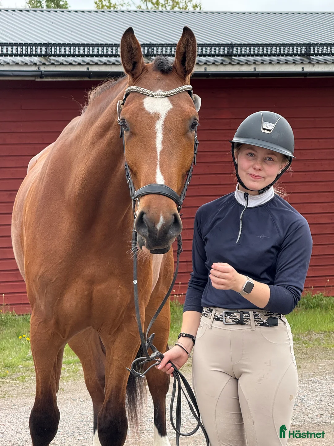 Hoppning hästar till salu: Finaste Victor  i Viksjöfors - Annons 2