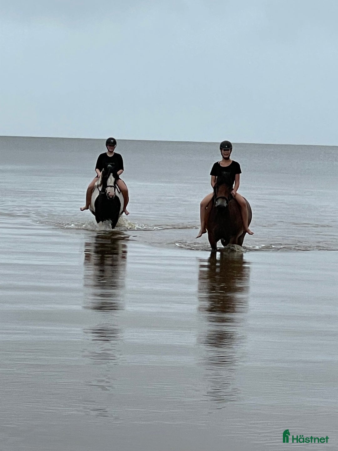  hästservice finnes: Ridläger sommaren 2026 på www.kyrkobacka.se i Lidköping - Annons 3