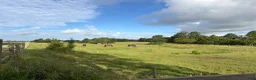  stallplats finnes: Stallplats på Axelgård i Vallkärra/Lund - Annons 3