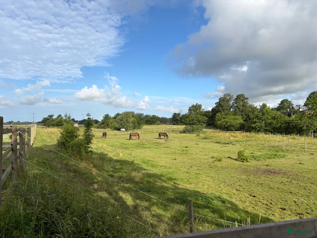  stallplats finnes: Stallplats på Axelgård i Vallkärra/Lund - Annons 3