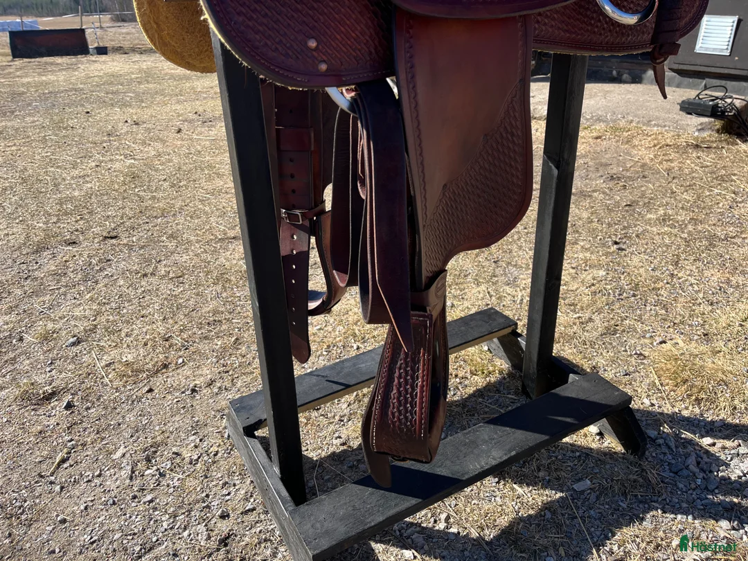 Sadlar hästutrustning till salu: Crates i Kalix - Annons 6