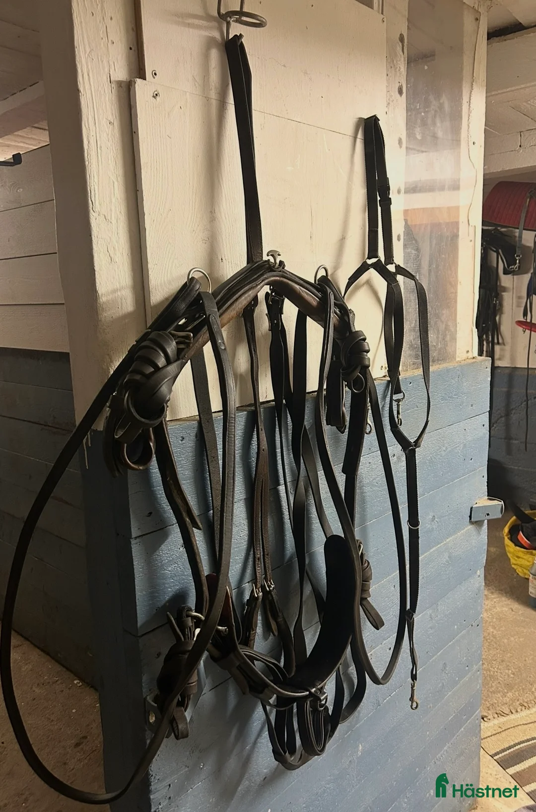 Travselar trav till salu: Remsele strl Full i Sorunda - Annons 3