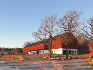 stallplats Ledig stallplats Stall Krusenberg - Annons 1