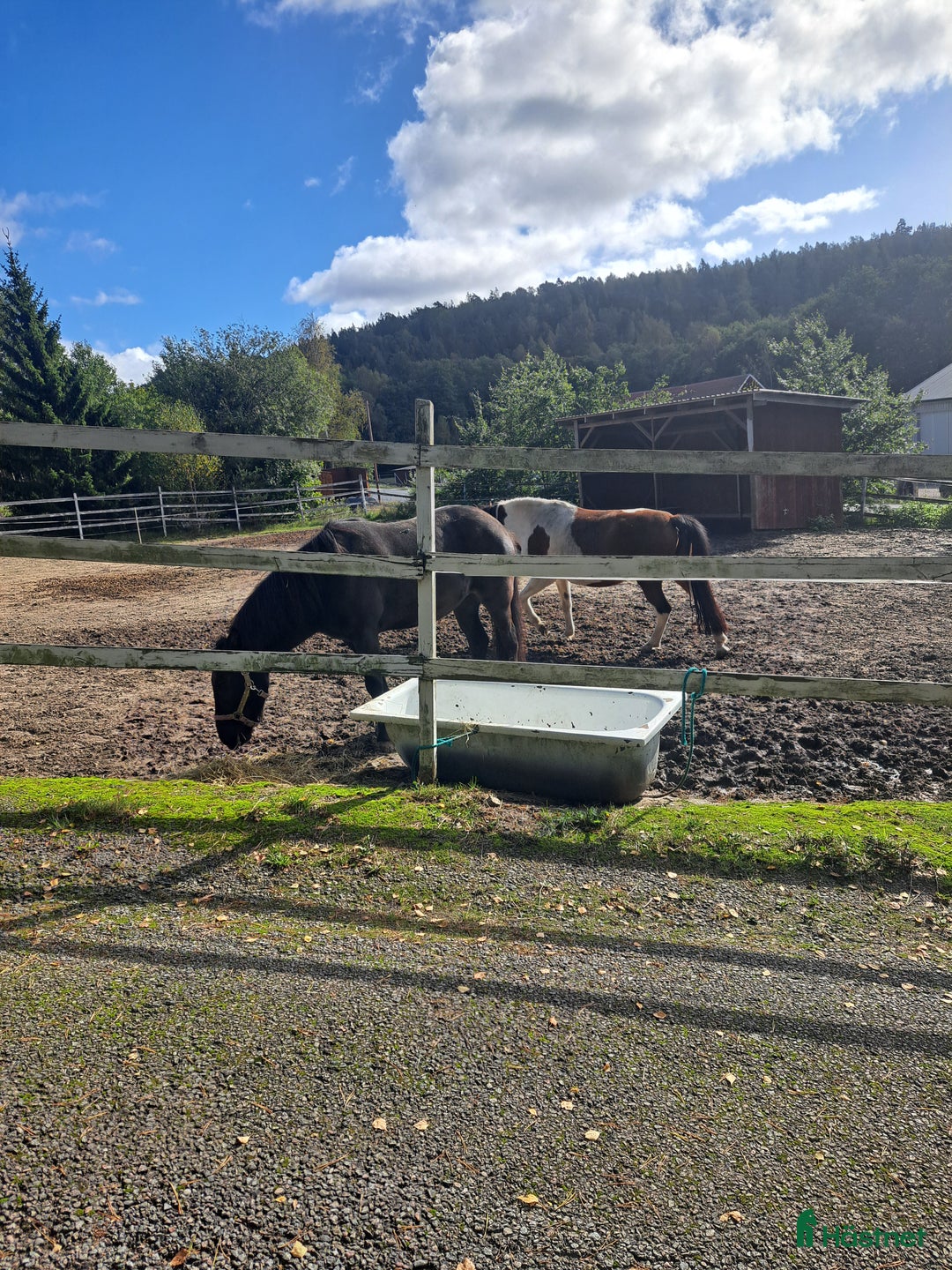  stallplats finnes: Boxplats 2 st i  Grödinge  i Grödinge - Annons 4