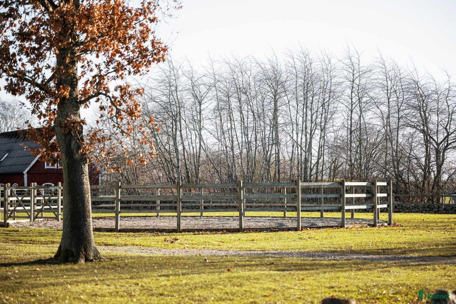  stallplats Stallplatser - Annons 15