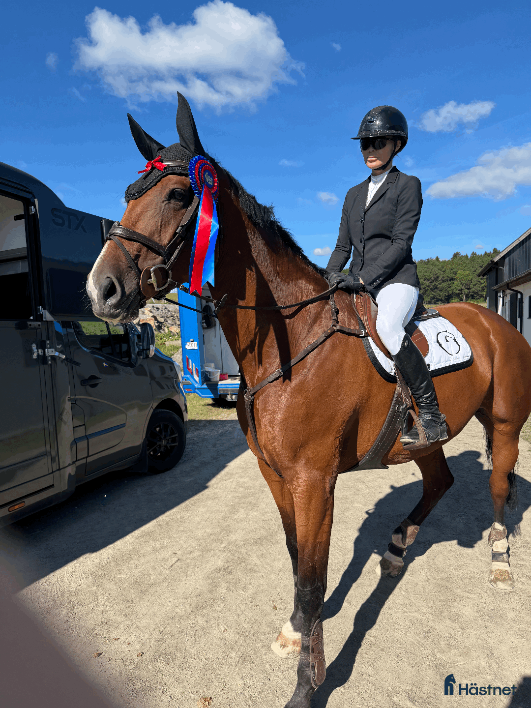 Hoppning hästar till salu: Hopphäst  i Kungsbacka - Annons 3