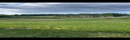 Allround hästar sökes: Sällskapshäst sökes - Annons 3