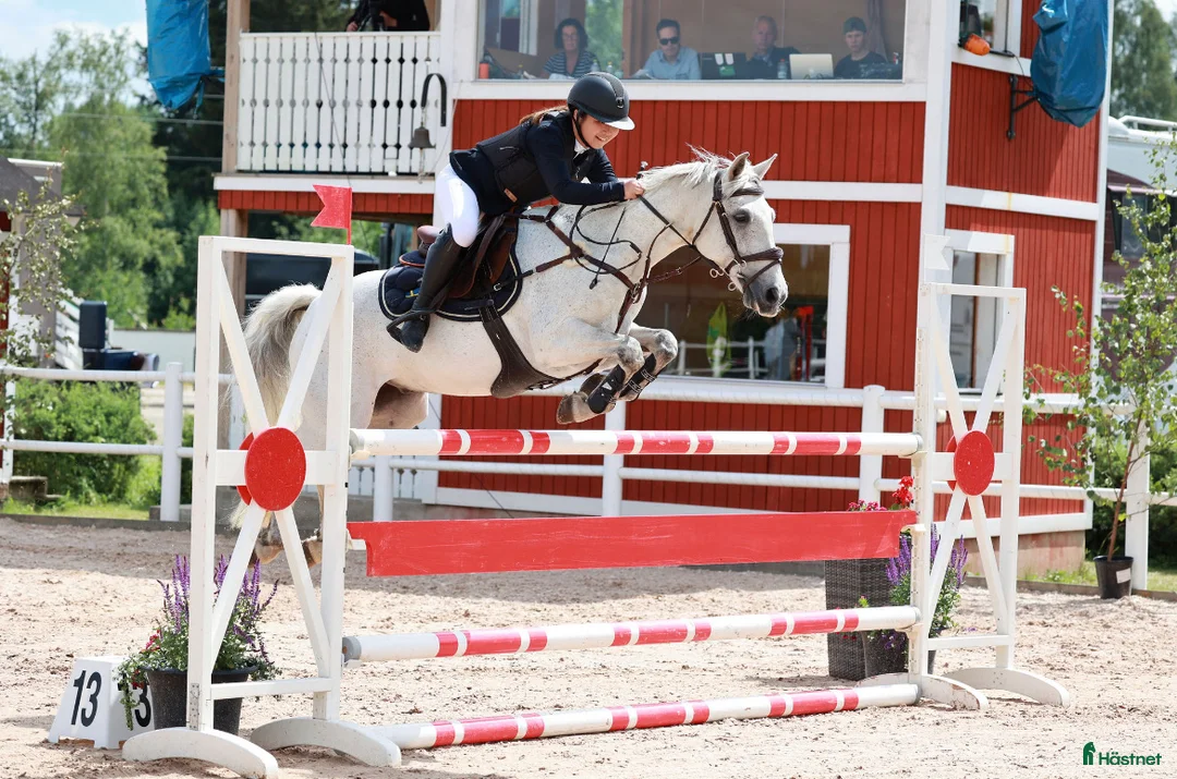 Galleribild {{count}}