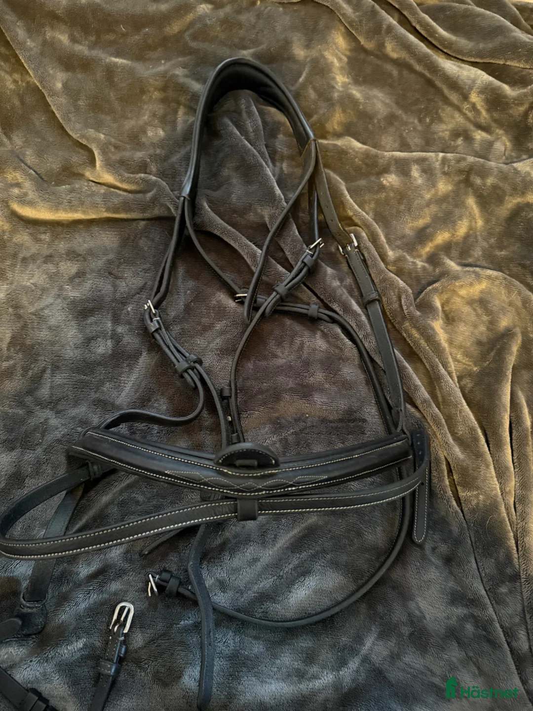 Träns hästutrustning till salu: Svart träns - Annons 1