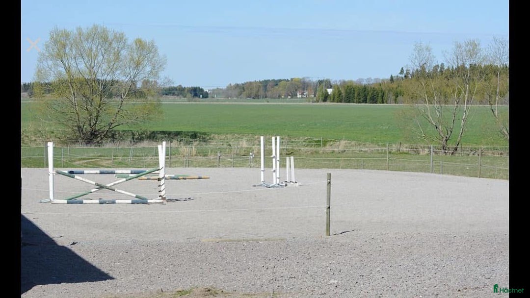  stallplats finnes: Boxplats i Vikingstad - Annons 2