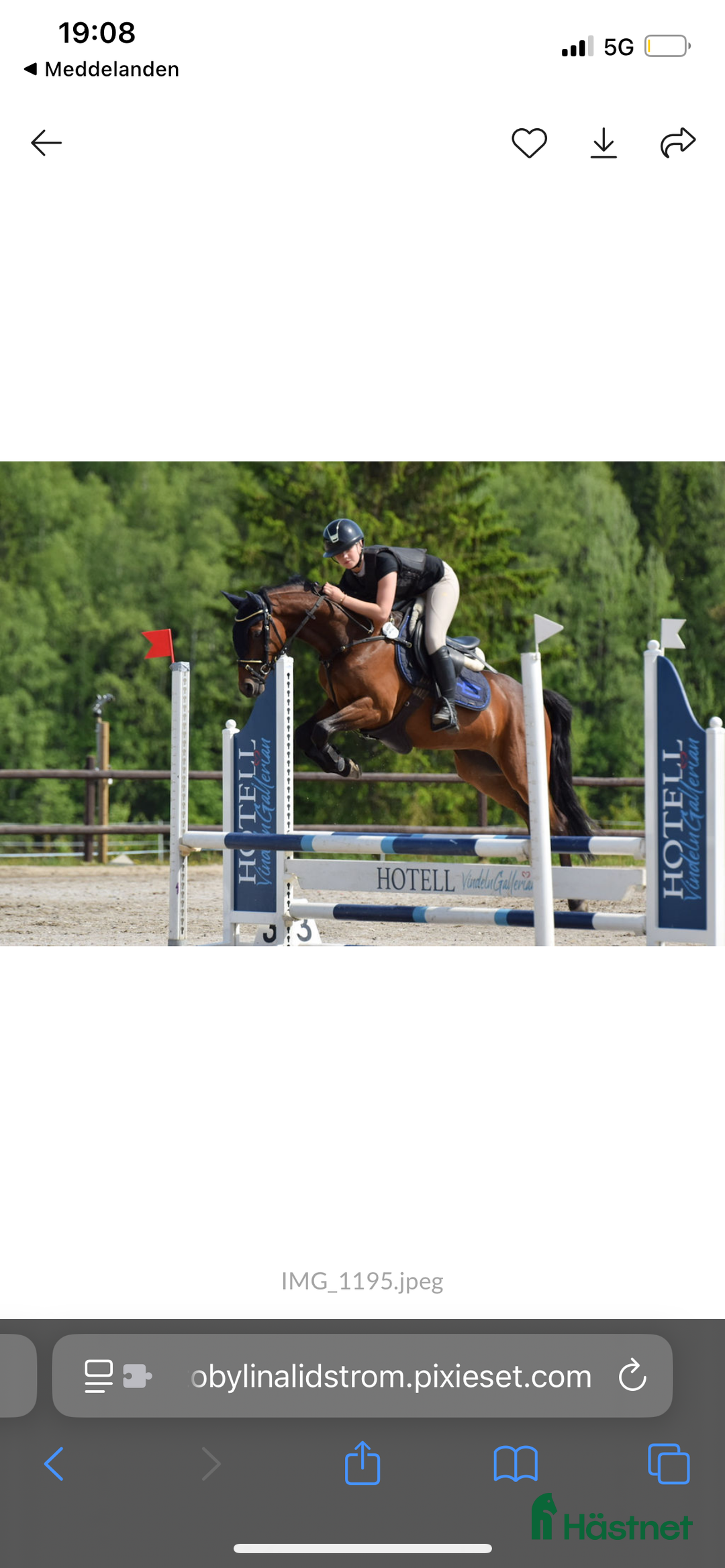 Schabrak & Vojlockar hästutrustning till salu: Equiline sett i Vindeln - Annons 1