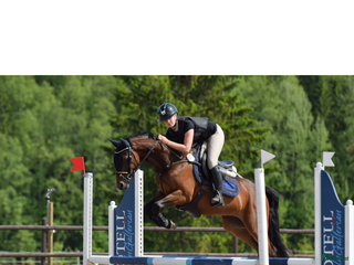 Schabrak & Vojlockar hästutrustning till salu: Equiline sett i Vindeln - Annons 15