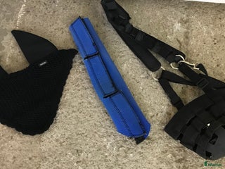 Övrig Hästutrustning hästutrustning till salu: Betesreducerare m.m i Hallstahammar - Annons 1