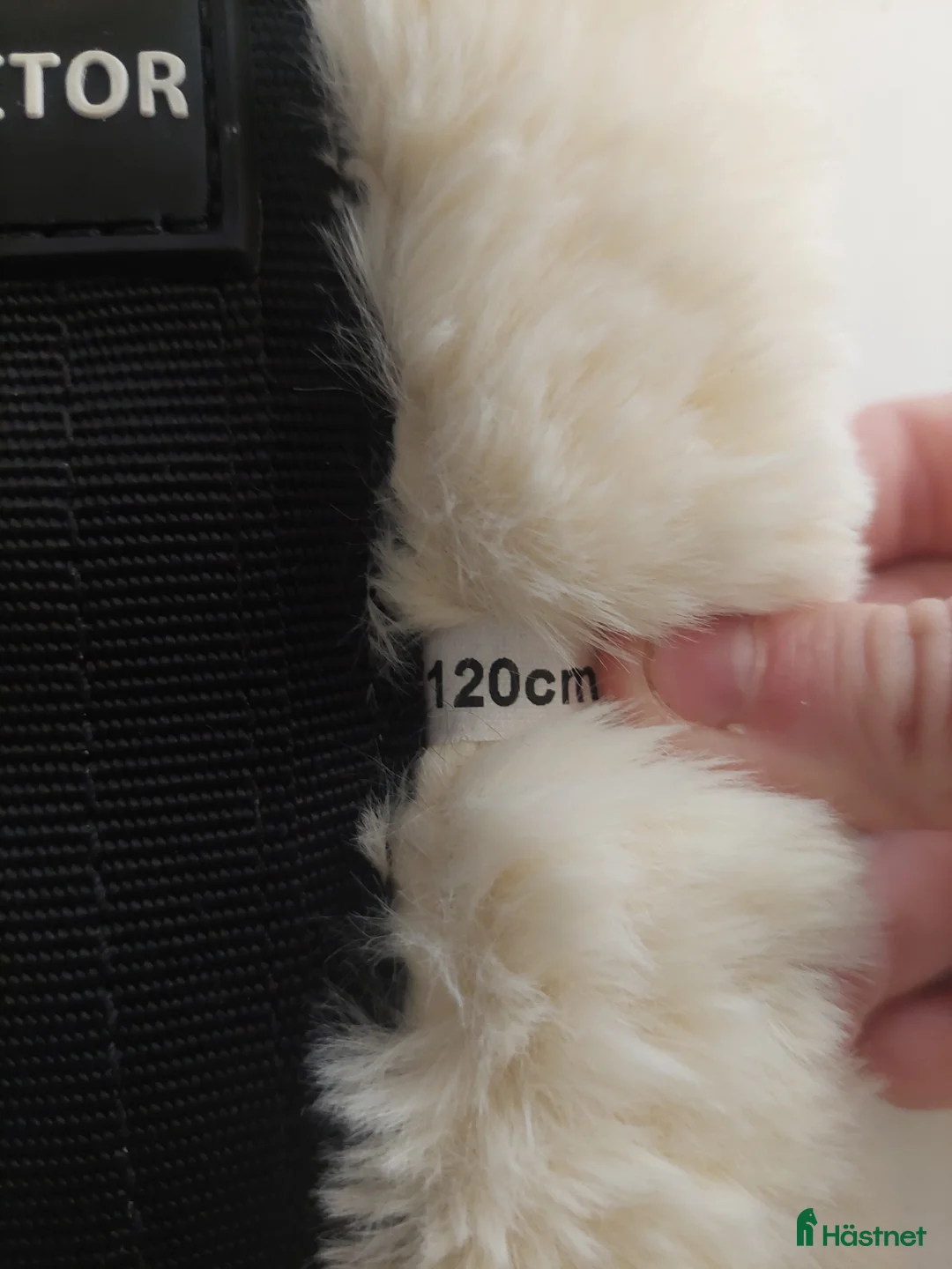 Sadeltillbehör hästutrustning till salu: Fin sadelgjord i Vedum - Annons 3