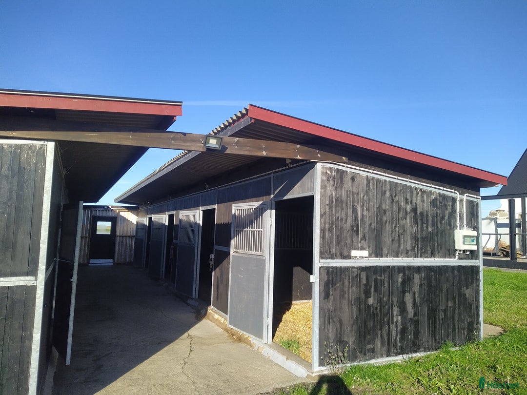  stallplats finnes: Hästboxar att hyra på en fantastisk tomt.  i Tomelilla - Annons 20