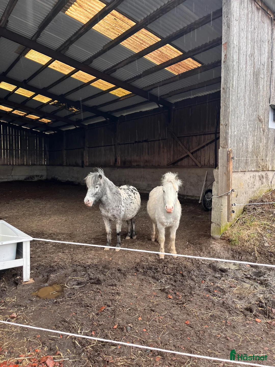 stallplats finnes: Lösdriftsplats för två valacker i Lindome - Annons 2