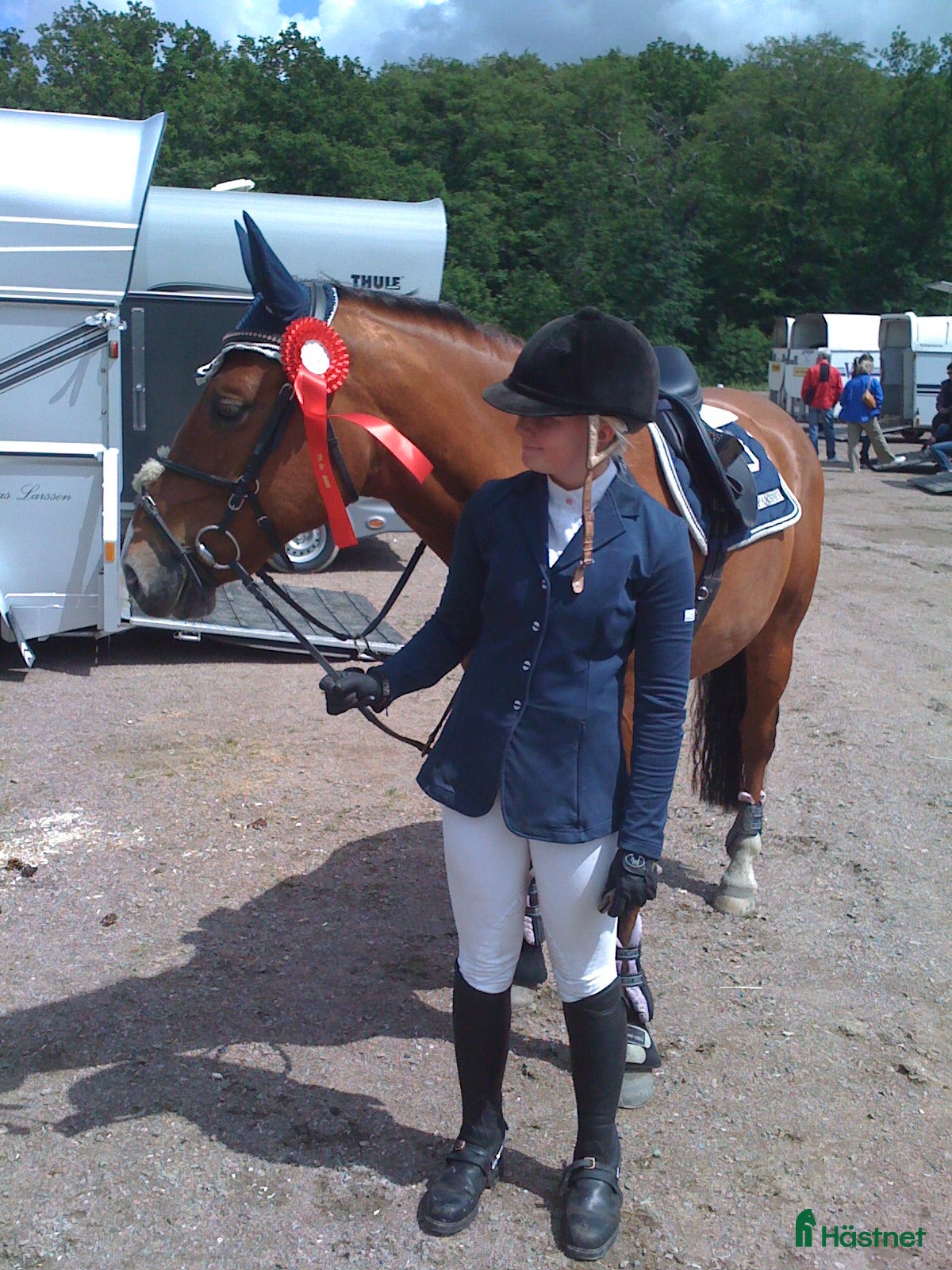  medryttarhäst sökes: 📍HELSINGBORG - Söker häst/ponny  - Annons 7