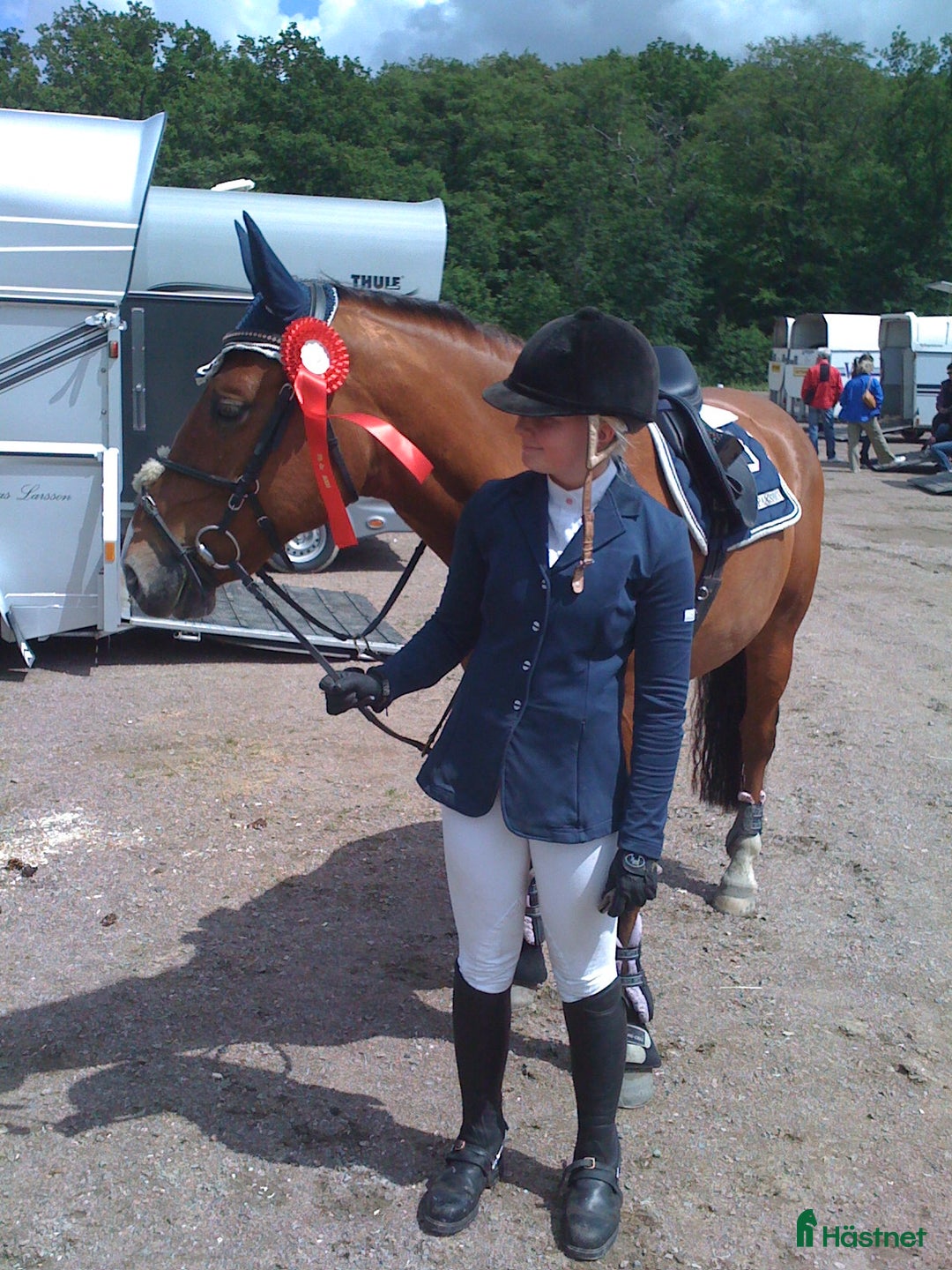  medryttarhäst sökes: 📍HELSINGBORG - Söker häst/ponny  i Helsingborg - Annons 1