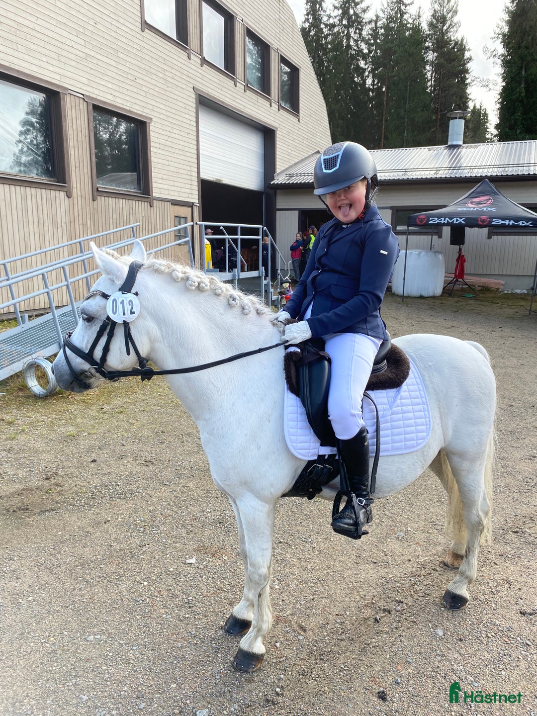 Dressyr hästar till salu: Dream Welsh Pony 10yrs - Annons 7