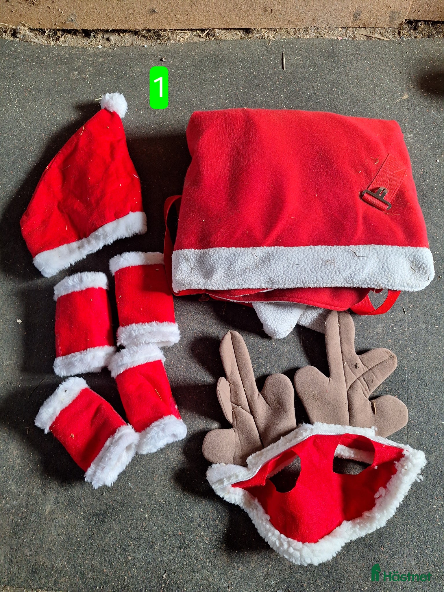 Övrig Hästutrustning hästutrustning Rensning - Annons 2