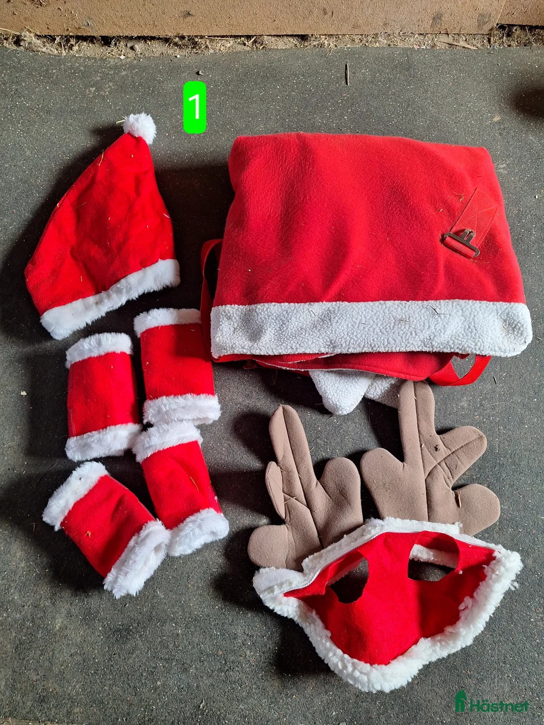 Övrig Hästutrustning hästutrustning till salu: Rensning - Annons 1