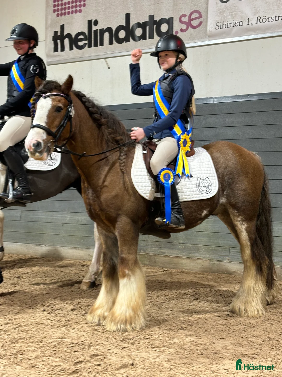 Allround hästar till salu: Ponny som stocker ut i mängden! i Vedum - Annons 4