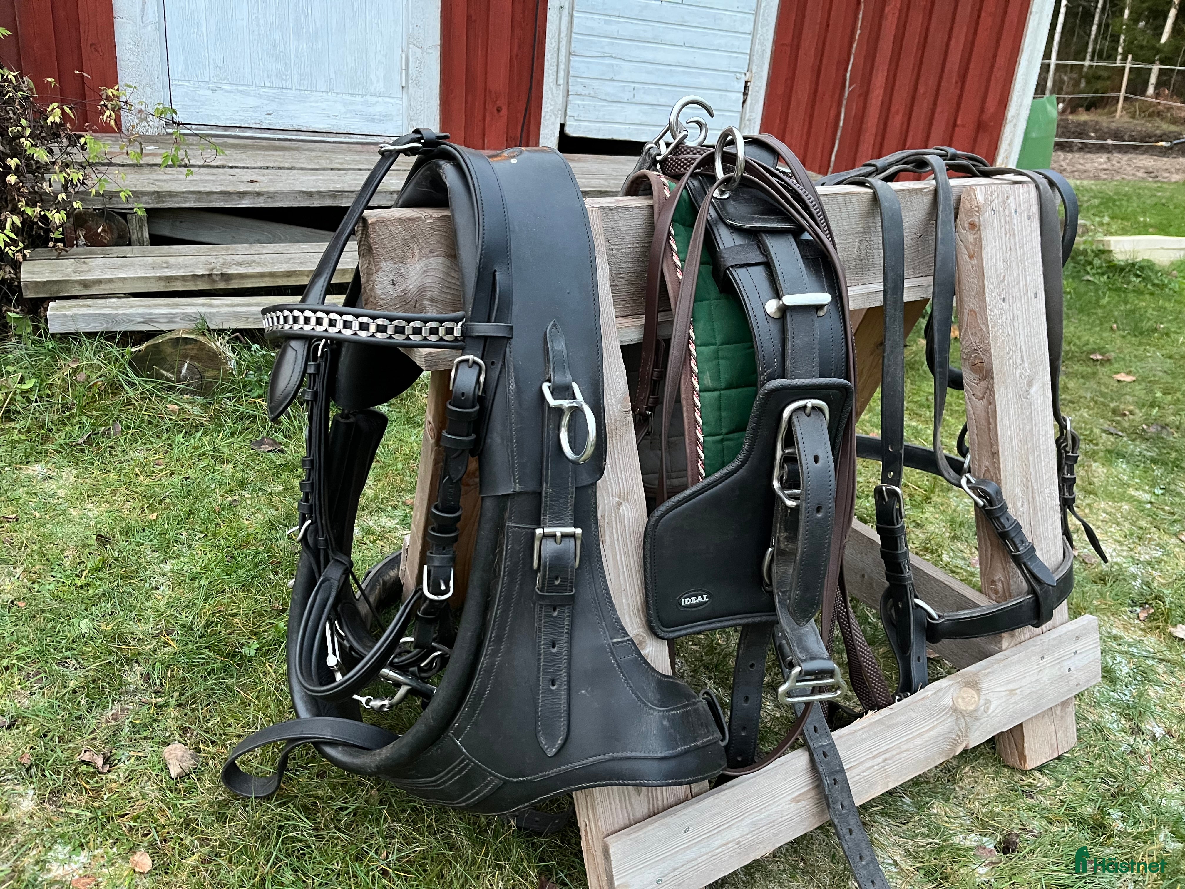 Körselar körning till salu: Maratonsele med fransk brösta storlek Shire i Västra Ämtervik - Annons 3